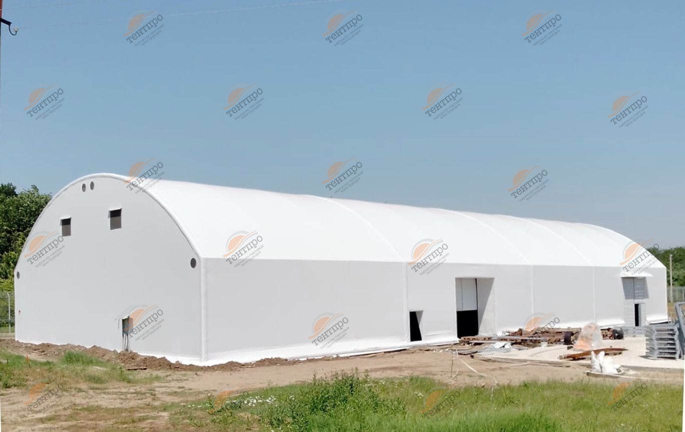 В17х47 Кропоткин в Москве В17х47 Кропоткин в Москве